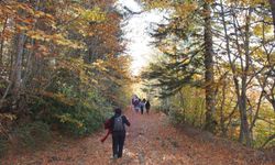 Milli Parklar Kanunu Teklifi hakkında bakanlıktan açıklama