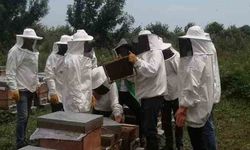 Arı Yetiştiricileri Birliği’nden zirai mücadele uyarısı