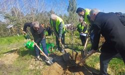 ÇEDES Projesi’nden yeşil vatan’a destek
