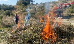 Zararlı böceklere karşı mekanik mücadeleye başlandı