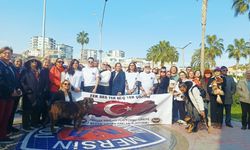 Mersin’de Hayvan Hakları İçin Eş Zamanlı Çağrı: “Sorun Yasa Değil, Uygulama”