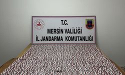 Mersin’de uyuşturucu operasyonu