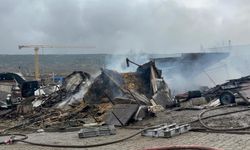 Ahır yangınında çok sayıda hayvan öldü