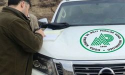 Antalya'da kaçak avcılara 1 milyon 42 bin lira ceza