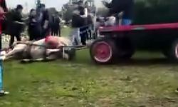 Hayvanlara kötü davranan şüphelilere barınak cezası