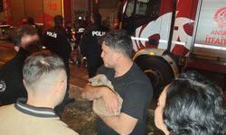 Alevlerin arasında mahsur kalan kedi kurtarıldı