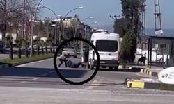 Yere yatırdığı minibüs şoförünü defalarca yumrukladı