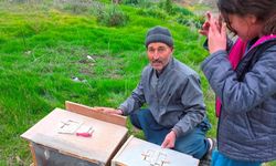 Mersin'de zamansız zirai ilaçlama arıların ölümüne sebep oldu