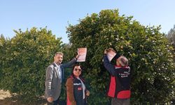 "Arı Varsa Hayat Var, Üretim Var" projesiyle arılar korunacak