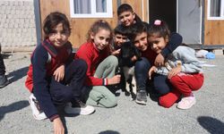 'Boncuk' kuzu, elbisesi ve biberonuyla ilgi odağı oldu