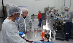 Mersin'de devlet destekli modern tesislerde bal üretimi