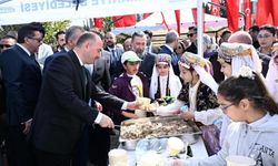 Osmaniye'de Nevruz Bayramı coşkuyla kutlandı