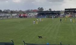 Futbol durdu ama herkes çok eğlendi