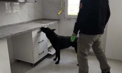 72 bin extacy yakalattılar "bizim değil" dediler