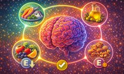 Beyin Yaşlanmasını Durduran Nöro-Beslenme Rehberi