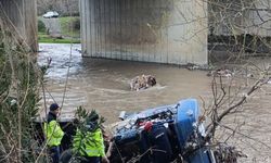 Çaya uçan TIR'ın şoförü öldü