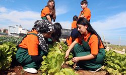 Çukurova’da tarıma okullu destek