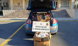 Mersin'de Jandarma hırsızlara geçit vermiyor