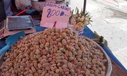 Sezonun ilk çağlaları tezgâhlarda