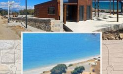 Anemurium’a betonu doğal görünsün diye kahverengiye boyandı