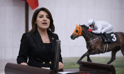 “Smart Latch” iddiası meclis’te