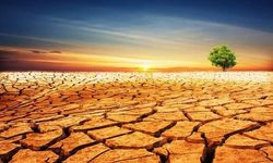 DAÇE ve Mersin Çevre Platformu’ndan acil çağrı