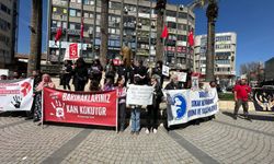 Edremit'te hayvanseverler sokak köpeklerinin ölümünü protesto etti