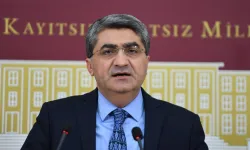 DEVA Partisi Genel Başkan Yardımcısı Ekmen: "Milli Parklar ticari hedef olamaz"