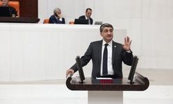 Ekmen, çocuk iade süreçlerinin netleştirilmesi için Meclis’e soru önergesi sundu