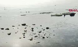 Denizin çekilmesiyle birlikte 'Kral Yolu' yeniden ortaya çıktı