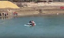 Hafif ticari araç göle düştü