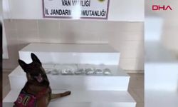Van ve Hakkari'de zehir tacirlerine operasyon
