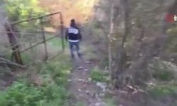 Portakal bahçesine operasyon düzenlendi: 175 kilo kimyasal madde ele geçirildi