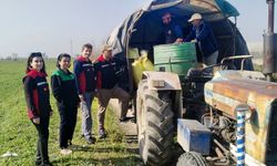 Mera alanlarında gübreleme faaliyetleri sürüyor