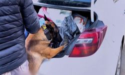 73 ilde zehir tacirlerine operasyon düzenlendi