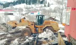 Artvin’de yangın felaketi: Ev, ahır ve ambar yandı