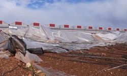 Erdemli'de çiftçilere sera naylonu desteği