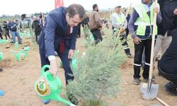 Çok sayıda fidan toprakla buluşturuldu