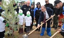 Çok sayıda fidan toprakla buluşturuldu