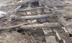 Yağış sonrası ahır çöktü: 20 küçükbaş hayvan öldü