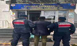 Köpeğini çok yediği iddiasıyla öldürdü