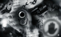 Mimoza Kadın Derneği'nden bireysel silahlanmaya tepki