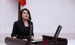 CHP Mersin Milletvekili Gülcan Kış'ın 8 Mart mesajı