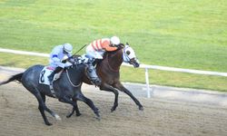 İzmir'de 64'üncü Hipodrom.com Ege Derbisi'nin kazananı The Protecter