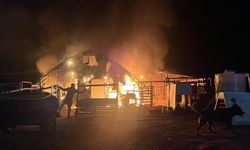 Kanatlı ve küçükbaş hayvan çiftliğinde yangın: 580 hayvan öldü