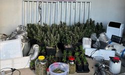 Kocaeli’de 40 adrese uyuşturucu baskını: 36 gözaltı