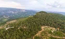 Hafta sonunu doğa ile iç içe geçirmek için fırsat