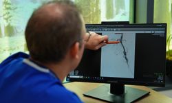 ‘Kangrenin önüne geçilebilir ama erken tanı olursa’