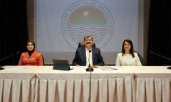 Toroslar Belediye Meclisi, havai fişek kullanımına karşı önemli bir karar aldı