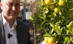 “Çiftçiyi toprağa küstürmeyin” diyerek mektup yazdı